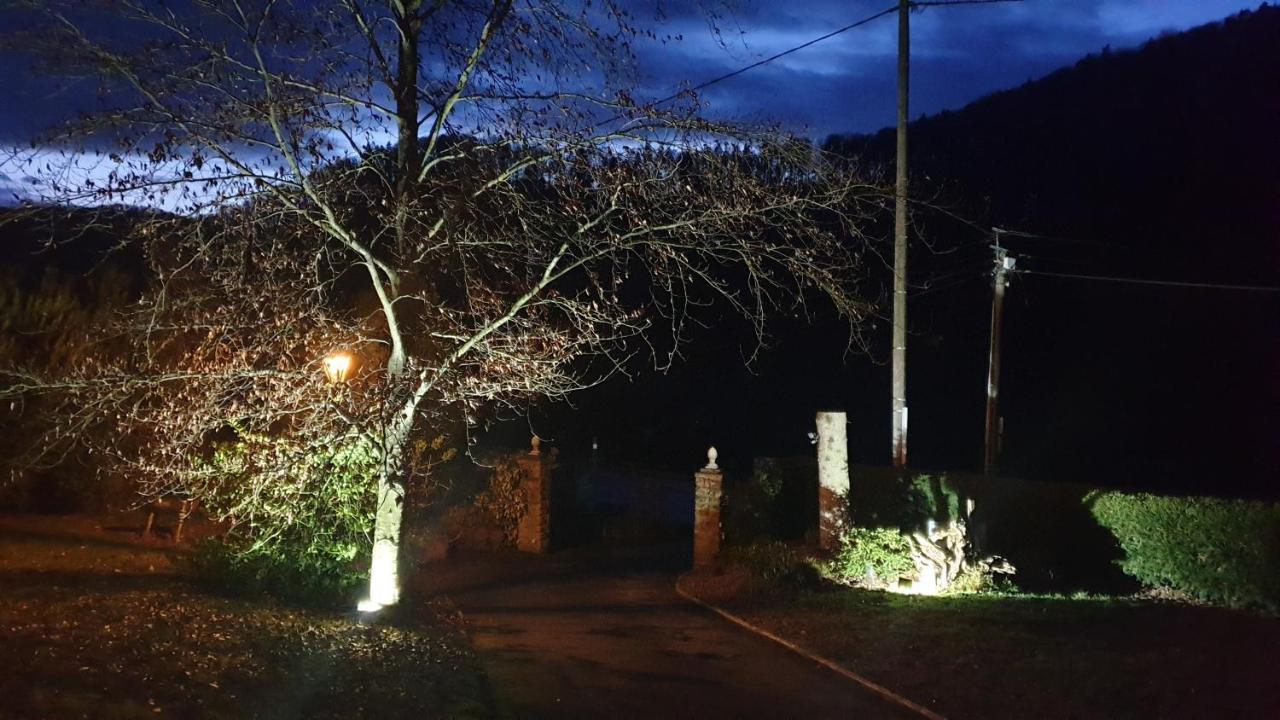 Le Wineck Villa Dambach ภายนอก รูปภาพ