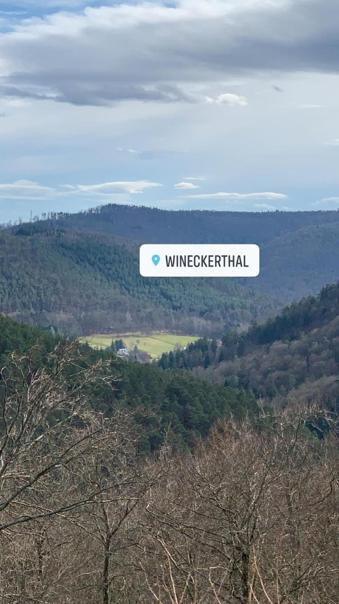 Le Wineck Villa Dambach ภายนอก รูปภาพ