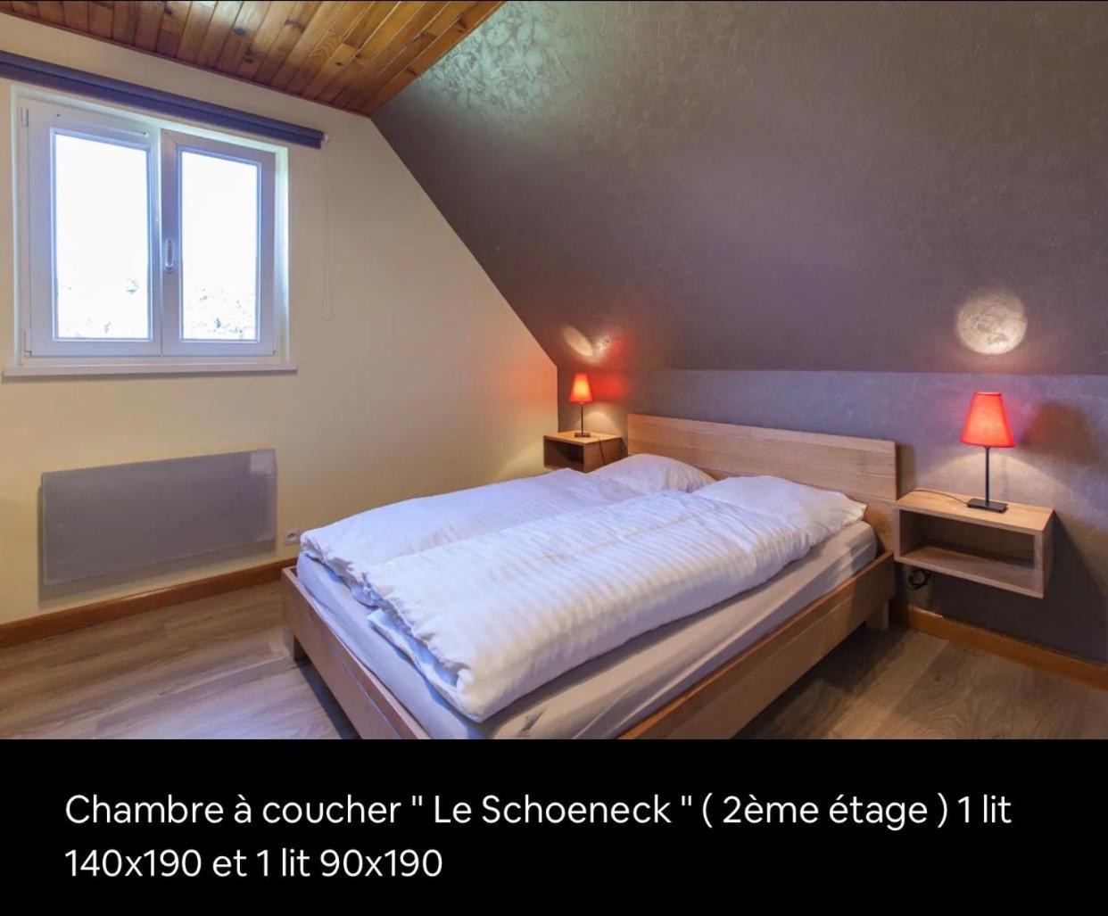 Le Wineck Villa Dambach ภายนอก รูปภาพ