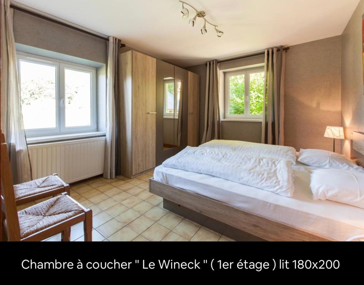Le Wineck Villa Dambach ภายนอก รูปภาพ