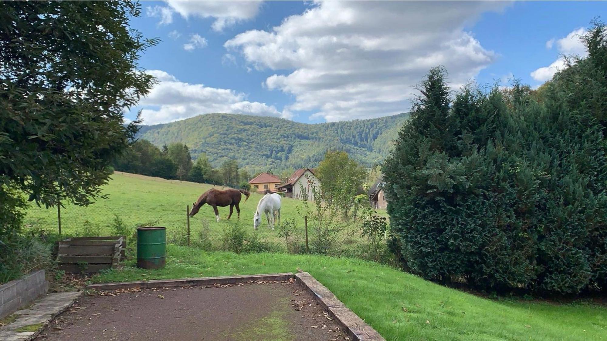 Le Wineck Villa Dambach ภายนอก รูปภาพ