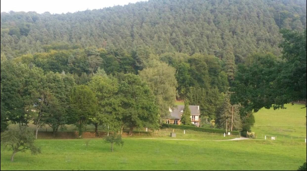 Le Wineck Villa Dambach ภายนอก รูปภาพ