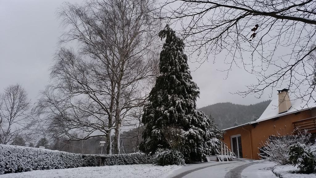 Le Wineck Villa Dambach ภายนอก รูปภาพ