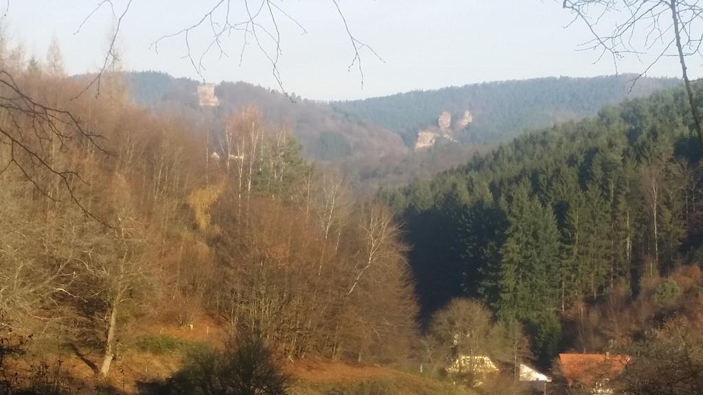 Le Wineck Villa Dambach ภายนอก รูปภาพ