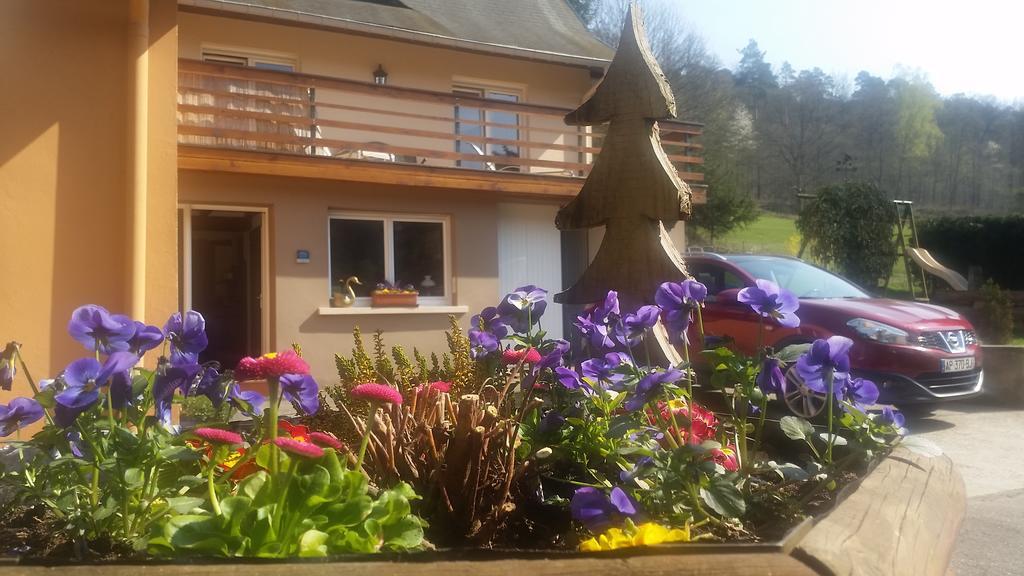 Le Wineck Villa Dambach ภายนอก รูปภาพ